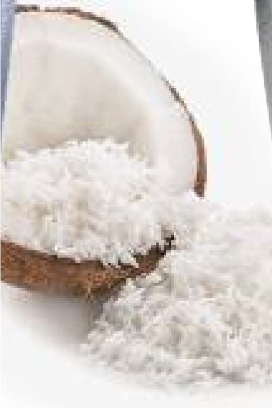  DESICCATED COCONUT FINE  (Bulk)