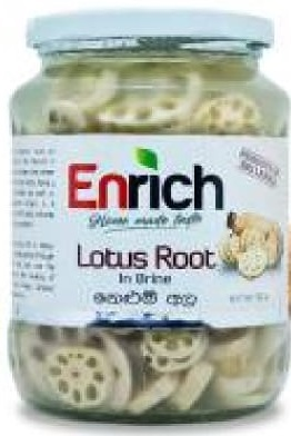 LOTUS ROOT IN BRINE 560G